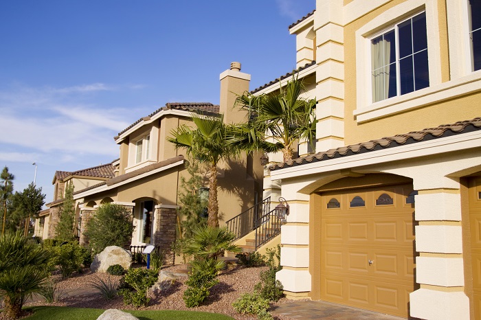 Homes with Palm Tree